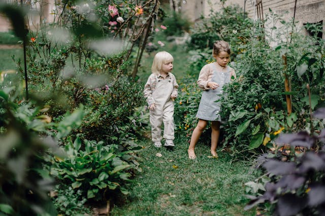 Jardins botaniques