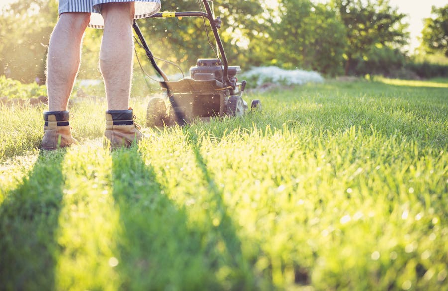 Entretenir un jardin