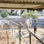 Les animaux de la ferme