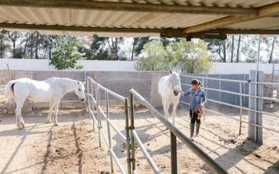 Les animaux de la ferme